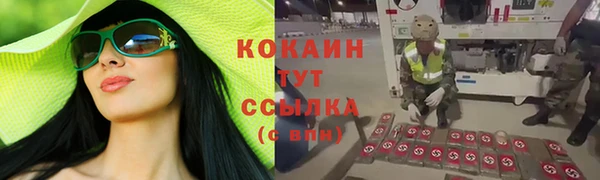 скорость Алзамай