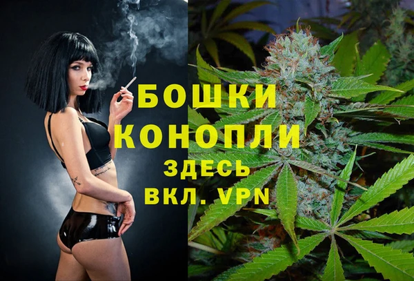 винт Алексин