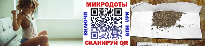 где можно купить   Ухта  Галлюциногенные грибы Cubensis 